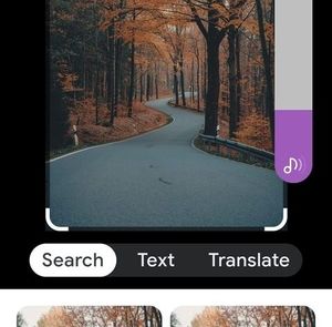 Meet your Posher, Dequetta